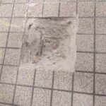 Sondage destructif au sol pour le diagnostic structurel du collège Le Parc.